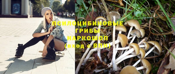 гидропоника Волосово
