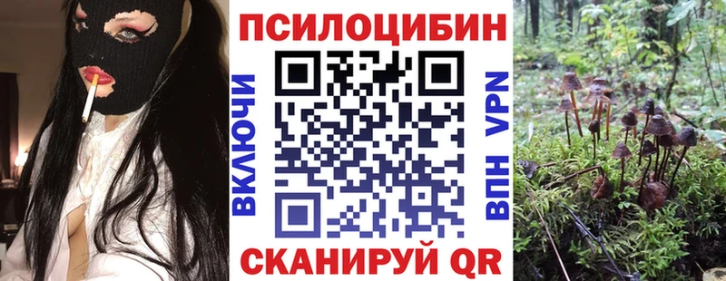 Купить где  Семёнов  Псилоцибиновые грибы ЛСД 